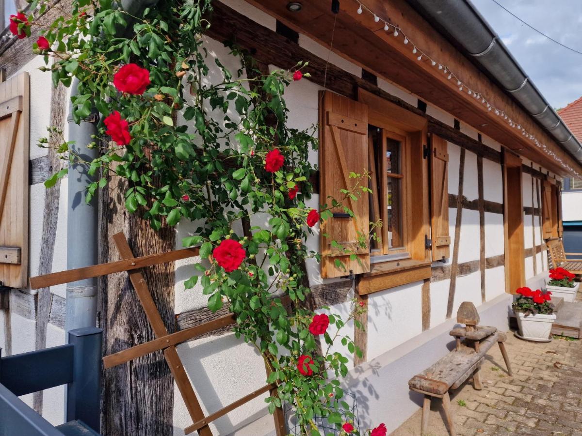 Une Maison A Colombages - Cosy, Lumineuse Et Sauna Kesseldorf Εξωτερικό φωτογραφία